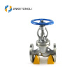 Casting iron standard Electric control valve globe valve